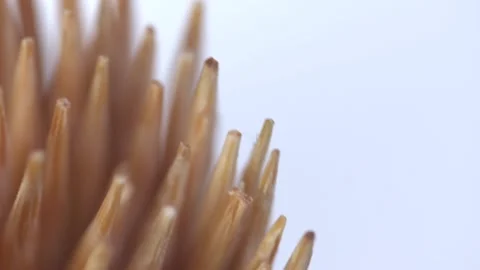 Tooth Picks Macro Rotation Vídeo Stock 134658898