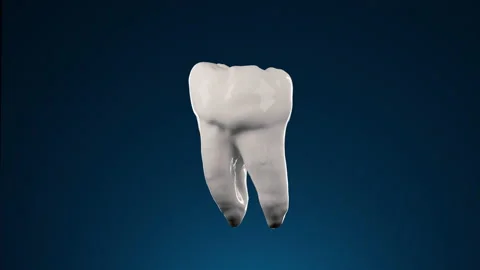 Tooth Plaque Shatters Stock Footage 166494572