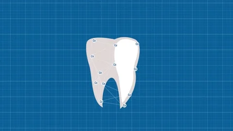 Tooth protected by calcium. Animated tooth on tracing paper. Tooth enamel Stock Footage 140221707