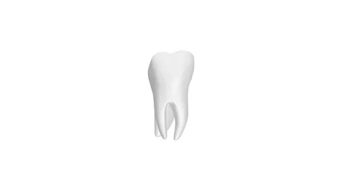 Tooth Rotation 360 on isolated White Background 3D Rendering Stock Footage 104307276