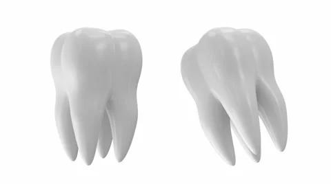 Tooth Rotation Stock Footage 32859632