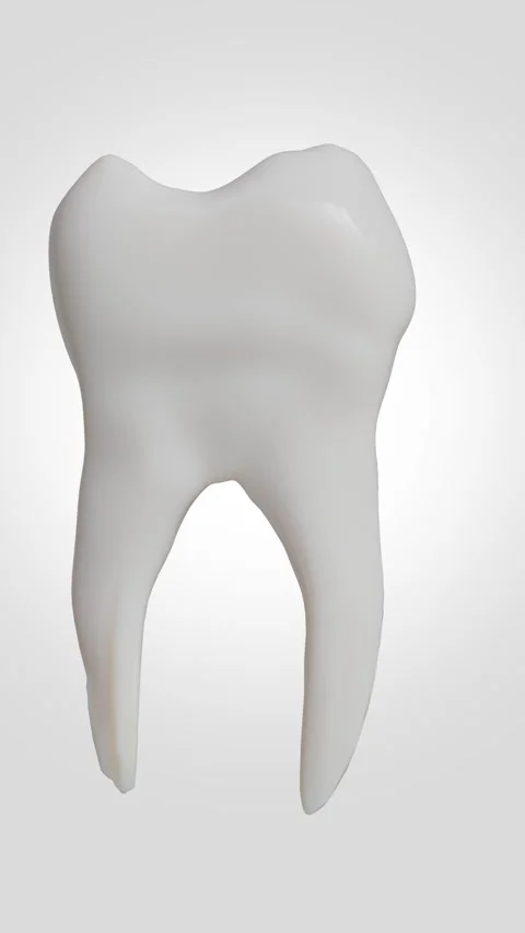 Tooth structure examination highlighting shape, materials, colors, glossiness Stock Footage 321008049