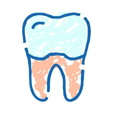 Tooth structure showing root canal sketch Stock Illustration