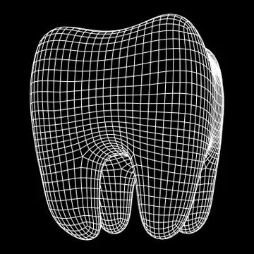 Tooth Wireframe Mesh Illustrazione stock