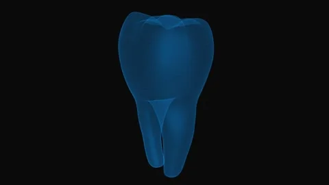 Tooth x-ray concept. 3d wireframe tooth. Loop rotation on black background.  Stock Footage 140564570