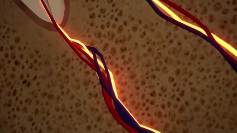 Toothache. Anatomical detailed section o... | Stock Video | Pond5