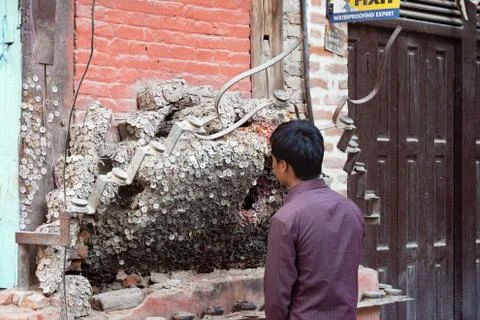 Toothache Tree Stock Photos