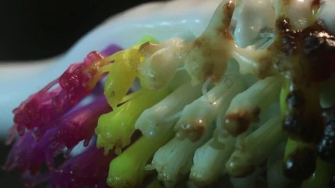 Toothbrush Burning and Melting Macro Stock Footage 74215080