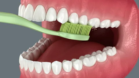 Toothbrush cleaning teeth. Medically accurate 3D Animation of oral hygiene Vídeo Stock 314452007