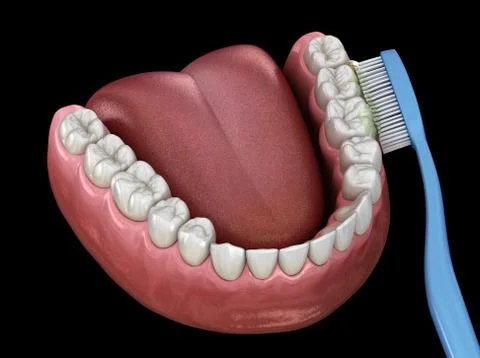 Toothbrush cleaning teeth. Medically accurate 3D illustration of oral hygiene Illustrazione stock