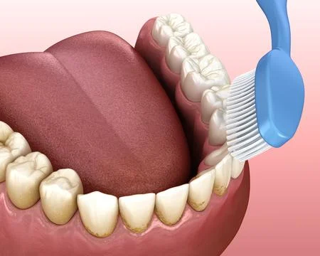 Toothbrush cleaning teeth. Medically accurate 3D illustration of oral hygiene Stock Illustration