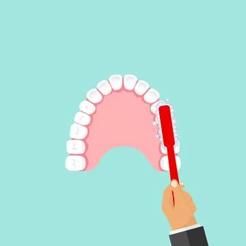 The toothbrush cleans teeth Illustrazione stock