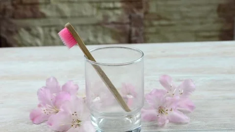 Toothbrush Stock Footage 154635788