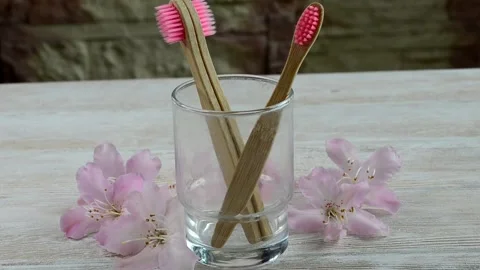 Toothbrush Stock Footage 154635802