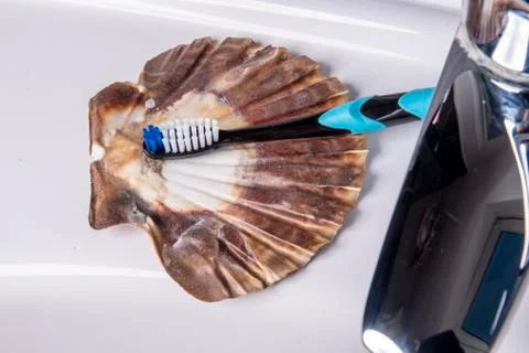 Toothbrush on a shell at the sink Stock Photos