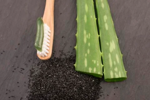 Toothbrush with toothpaste with aloe vera Stock Photos