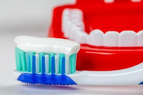 Toothbrush with toothpaste on the background of tooths model Stock-Fotos