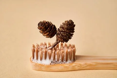 Toothbrush with toothpaste foam on a background of pine needles and cones. Stock Photos