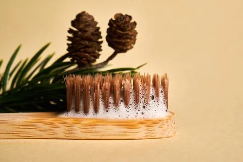 Toothbrush with toothpaste foam on a background of pine needles and cones. Stock Photos