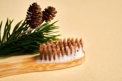Toothbrush with toothpaste foam on a background of pine needles and cones. Stock Photos
