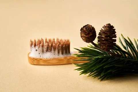 Toothbrush with toothpaste foam on a background of pine needles and cones. Stock Photos