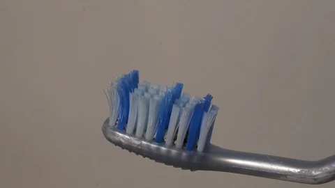 Toothbrush with toothpaste. Vidéo 126665584