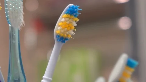 Toothbrushes close up Stock Footage 125154652