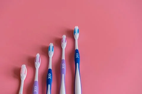 Toothbrushes on pink background. Flat lay composition with manual toothbrushe Stock Photos