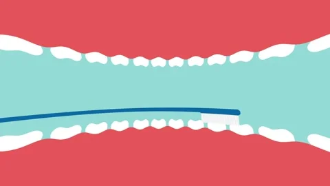 Toothbrushing animation from inside the mouth Stock Footage 311284467