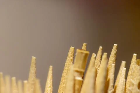 Toothpicks macro Stock Photos