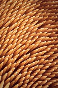 Toothpicks texture Stock Photos