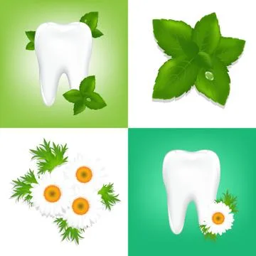 Tooths Stock Illustration