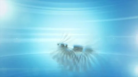 Top 20 Text Animation Stock Footage 66113094