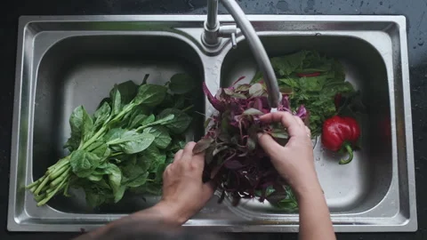 Top Above View of Kitchen Sink with Faucet. Young Woman Hands Washing A lot of Stock Footage 273130792