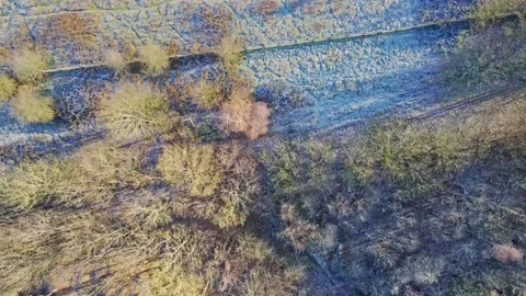 Top aerial down view of fields and trees covered with a light sprinkling of.. Vidéo 235775551