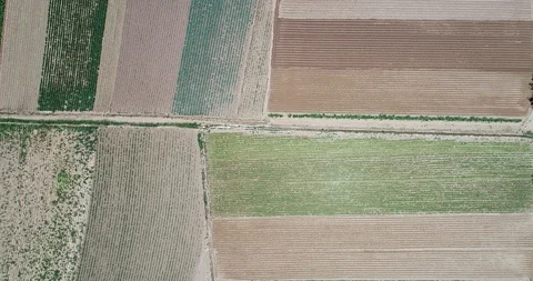 Top aerial drone scene of small local crops with canal at the side. Abstract Video stock 103522607