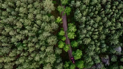 Top aerial view: Car in the forest - drone footage 01 Stock Footage