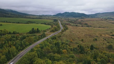 Top aerial view of competition. Professional cyclists people ride a road next to Stock Footage 219949397