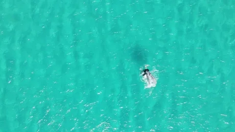 Top aerial view of diver diving underwater in sea Stock Footage 133261941