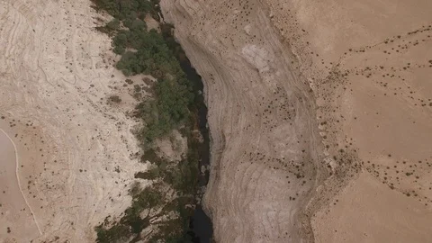 Top aerial view of Ein Avdat canyon. Negev Desert. Israel. DJI-0207-09 Stock Footage 123652304