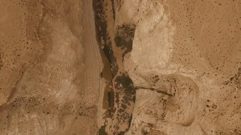 Top aerial view of Ein Avdat canyon and Negev Desert. Israel. DJI-0208-02 Stock Footage 123655174