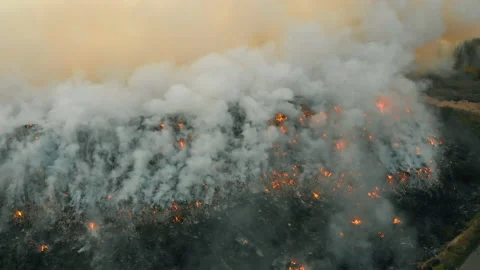 Top aerial view at fire at garbage dump, burning pollutes the environment Stock Footage 141737827