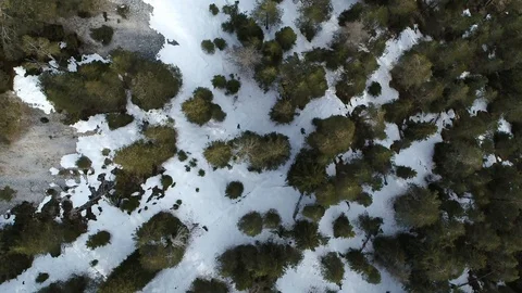 Top aerial view of forest in winter covered in snow and river passing through Stock Footage 126857152
