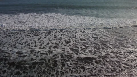 Top aerial view of ocean waves and beach. Dog walking on the beach. Drone video Stock Footage 159844996