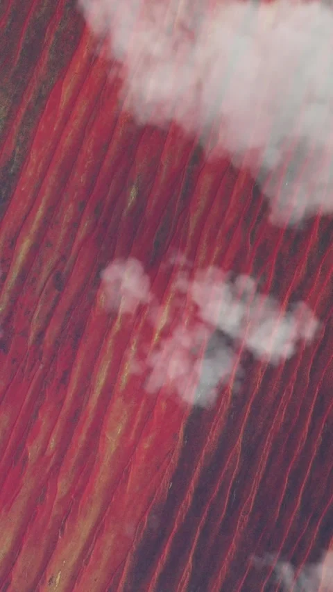 Top aerial view of the Simpson Desert Northern Territory. Australia Stock Footage 284884660
