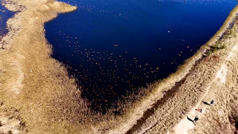 Top aerial view in slow motion of clay pigeon shot to pieces over farm dam Stock Footage 315491847
