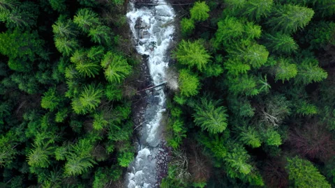 Top up aerial view of Snaky mountain river flowing in the misty forest. Stock Footage 201250044
