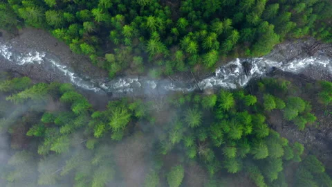 Top up aerial view through the clouds Snaky mountain river flowing in the misty Stock Footage 201249170