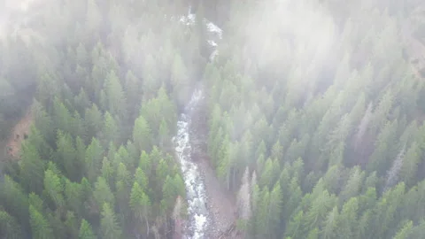 Top up aerial view through the clouds Snaky mountain river flowing in the misty Stock Footage 201249629