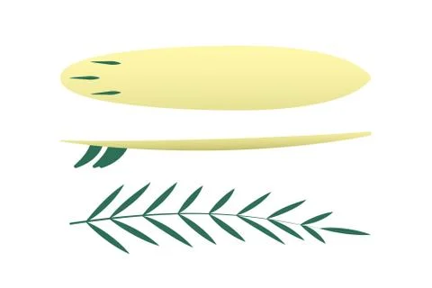 Top and side view of surfboard, surf board. イラスト素材